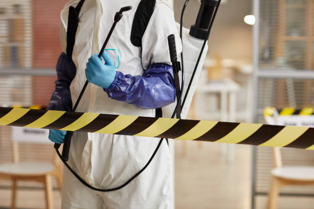 Professional Sewage Cleanup technician working in Pine Brook, NJ